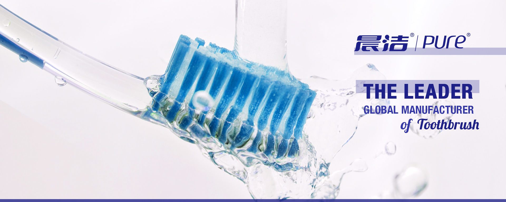 Adult Toothbrush